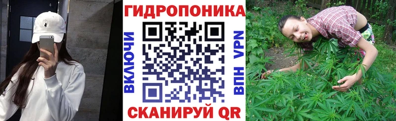 Каннабис ГИДРОПОН Омутнинск